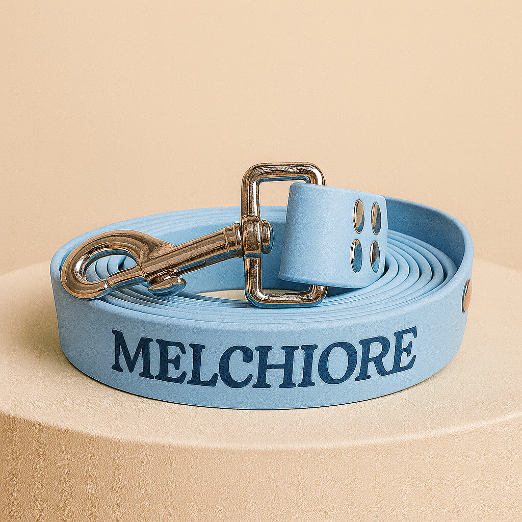 LOOPII™ Biothane Leash