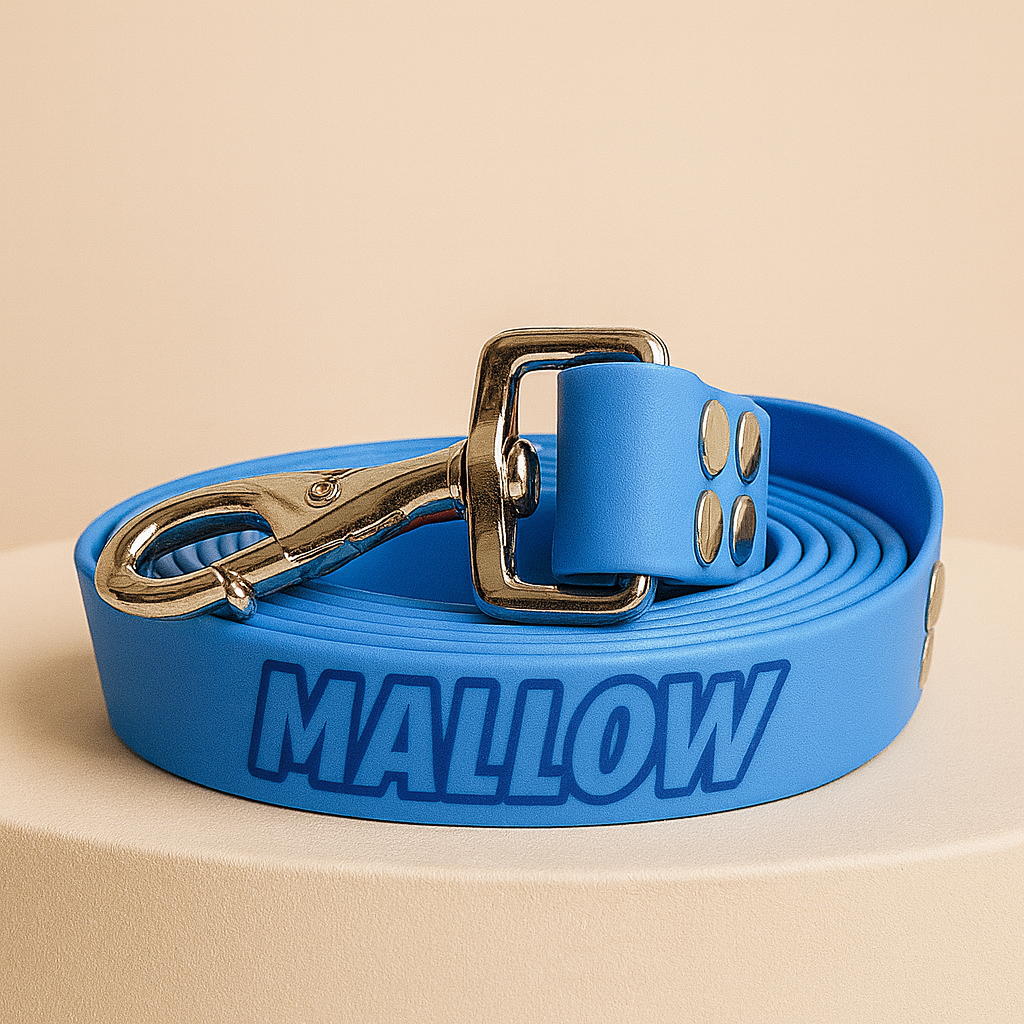 LOOPII™ Biothane Leash