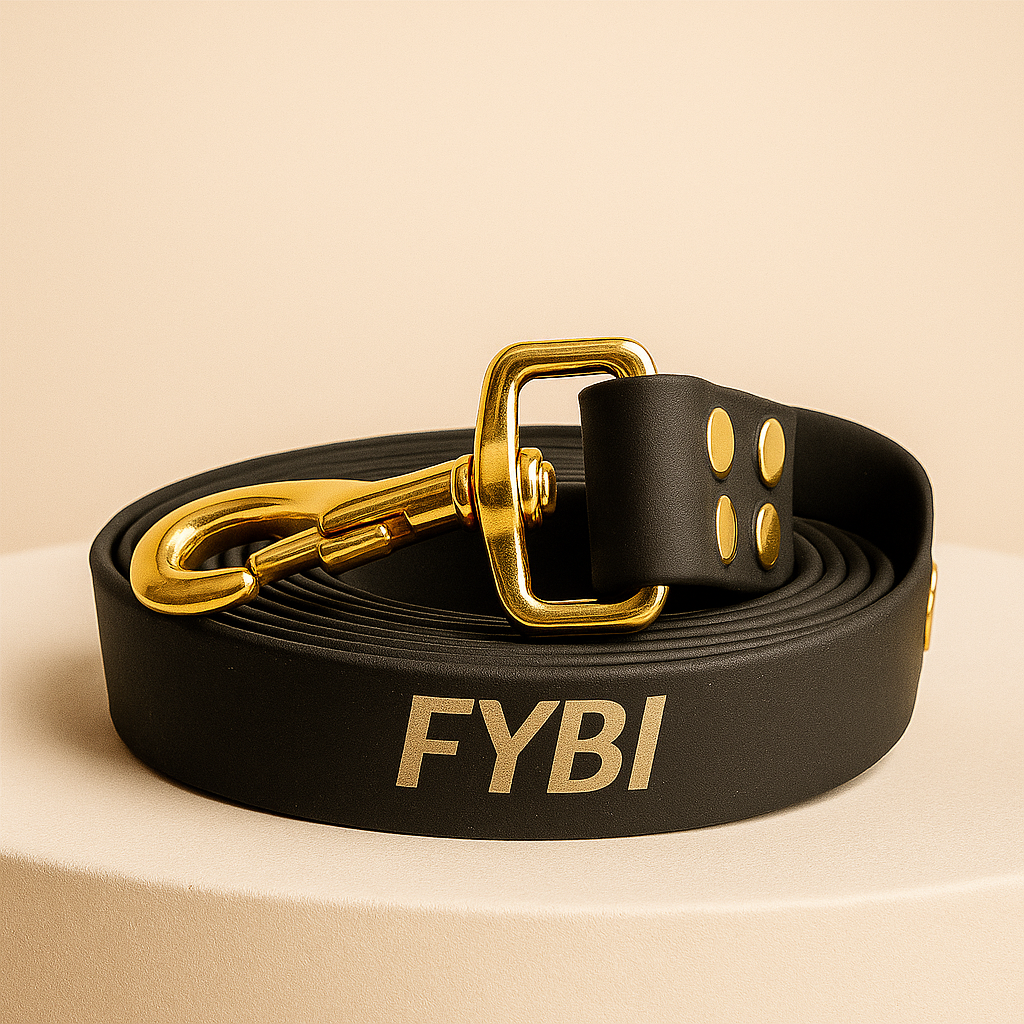 LOOPII™ Biothane Leash