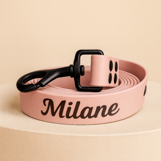 Laisse LOOPII™ Biothane