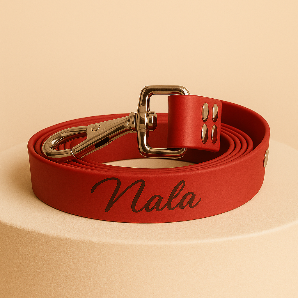 LOOPII™ Biothane Leash