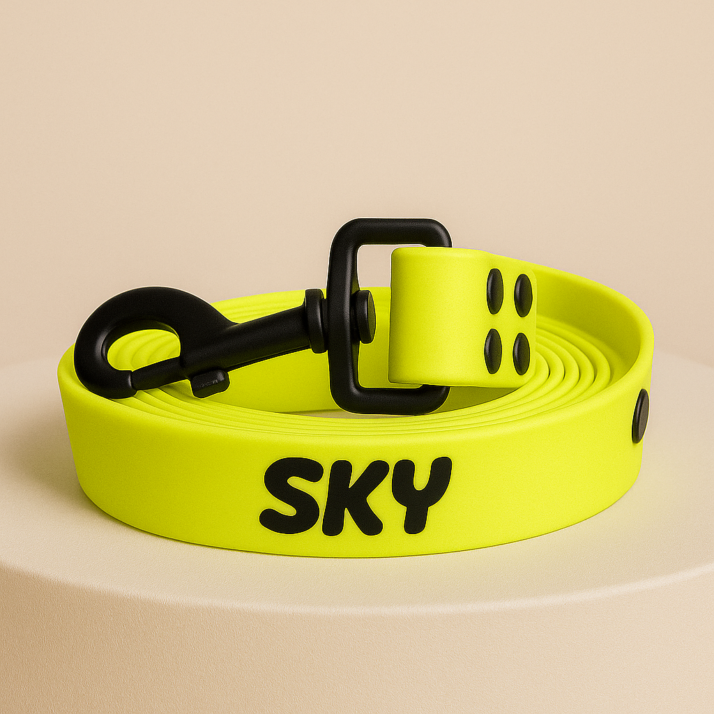 LOOPII™ Biothane Leash