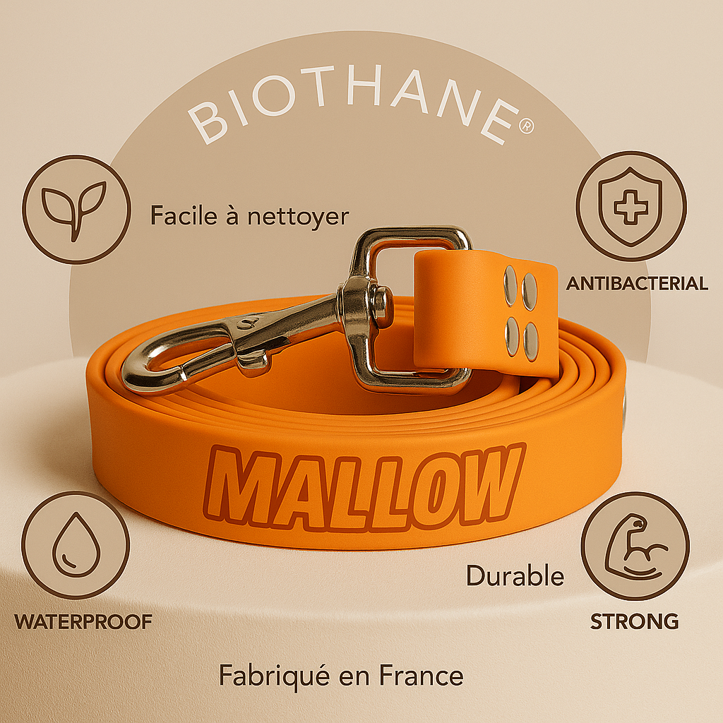 LOOPII™ Biothane Leash